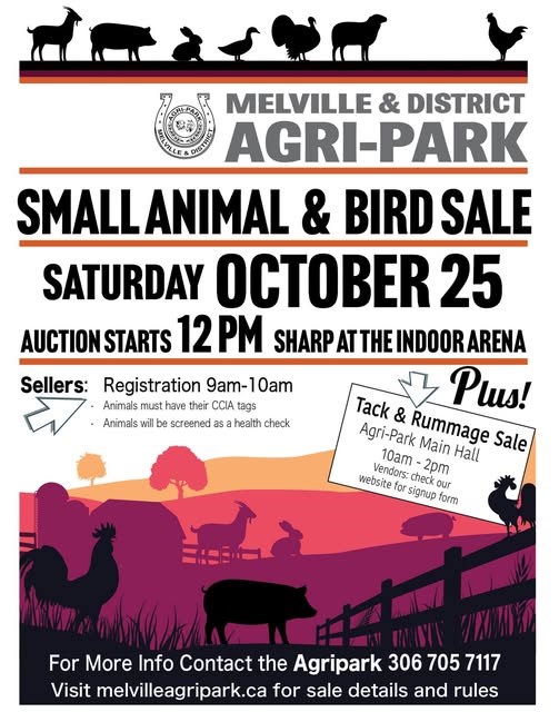 Small Animal & Bird Sale