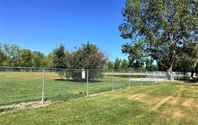 dog-park