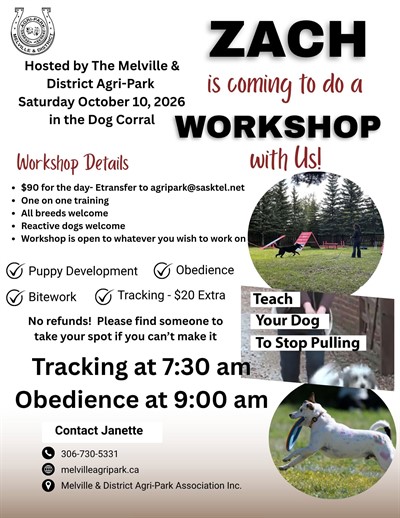 Dog_Training_at_Agripark