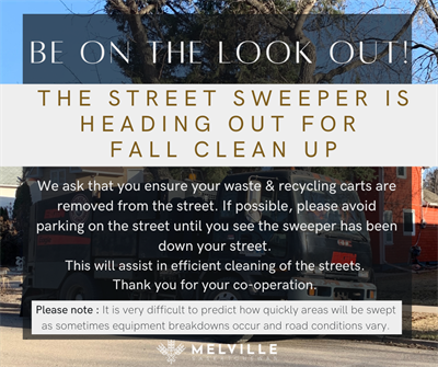 _Street_Sweeper_Fall_Clean_up__(3)